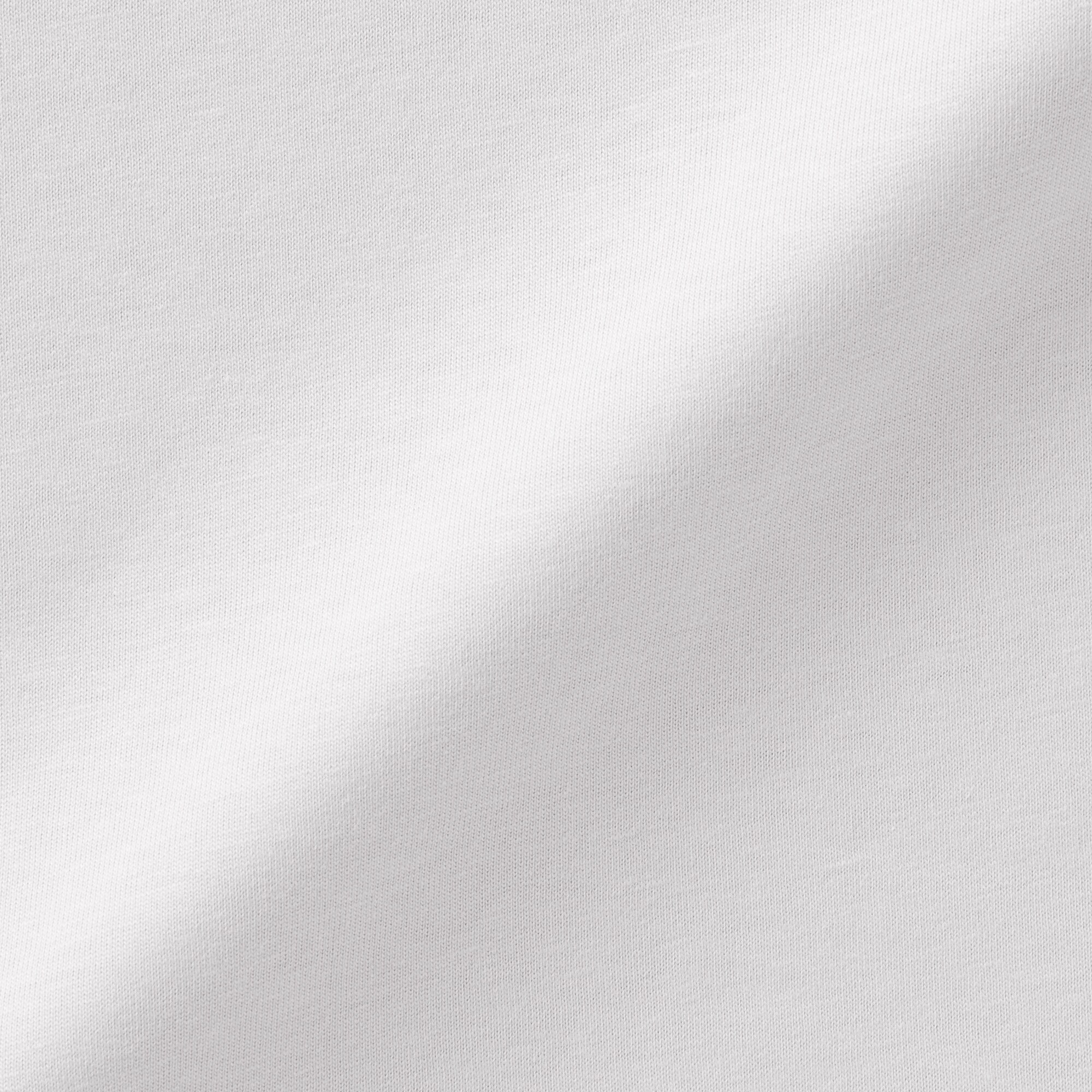 婦人　天竺編みクルーネック長袖Ｔシャツ