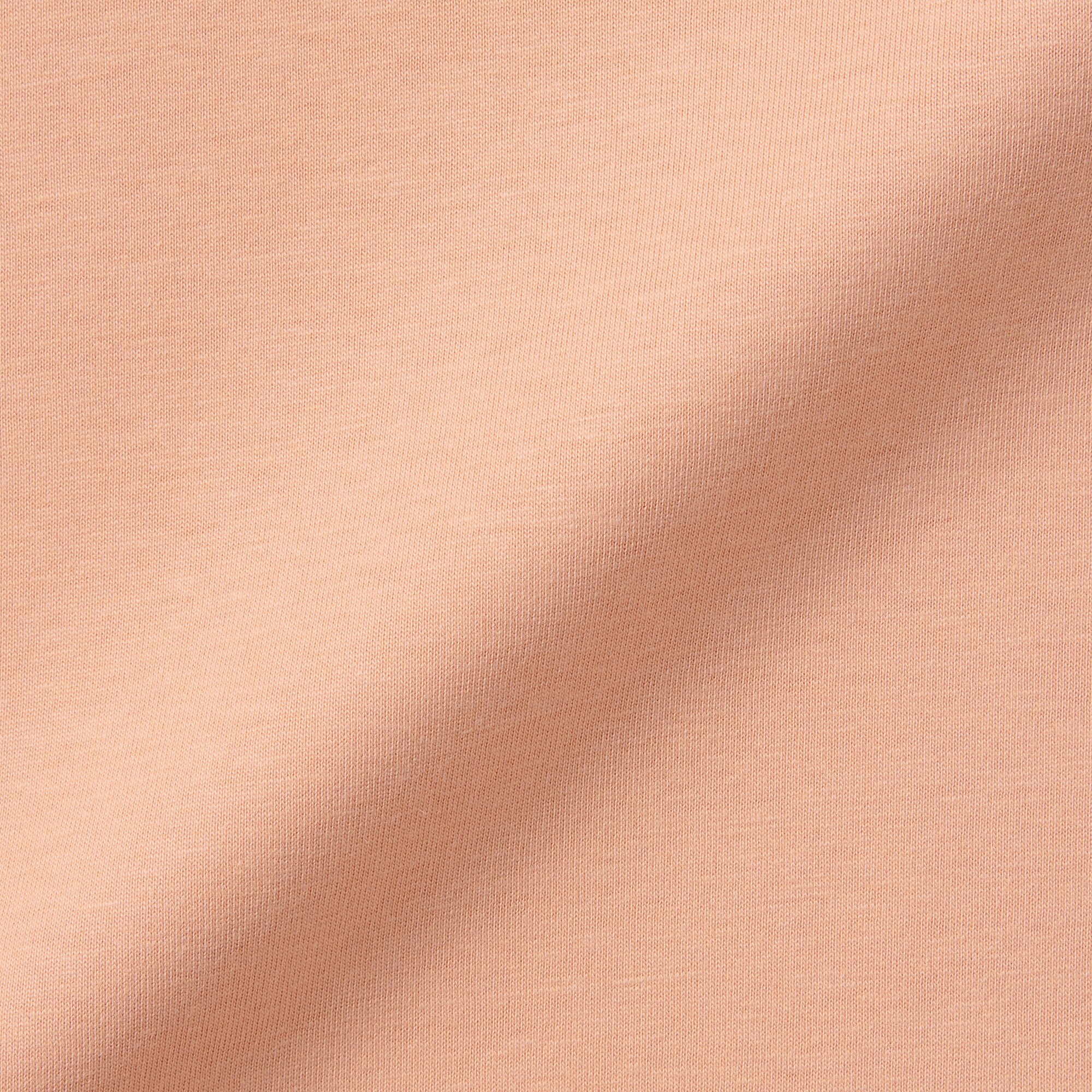 婦人　天竺編みクルーネック長袖Ｔシャツ