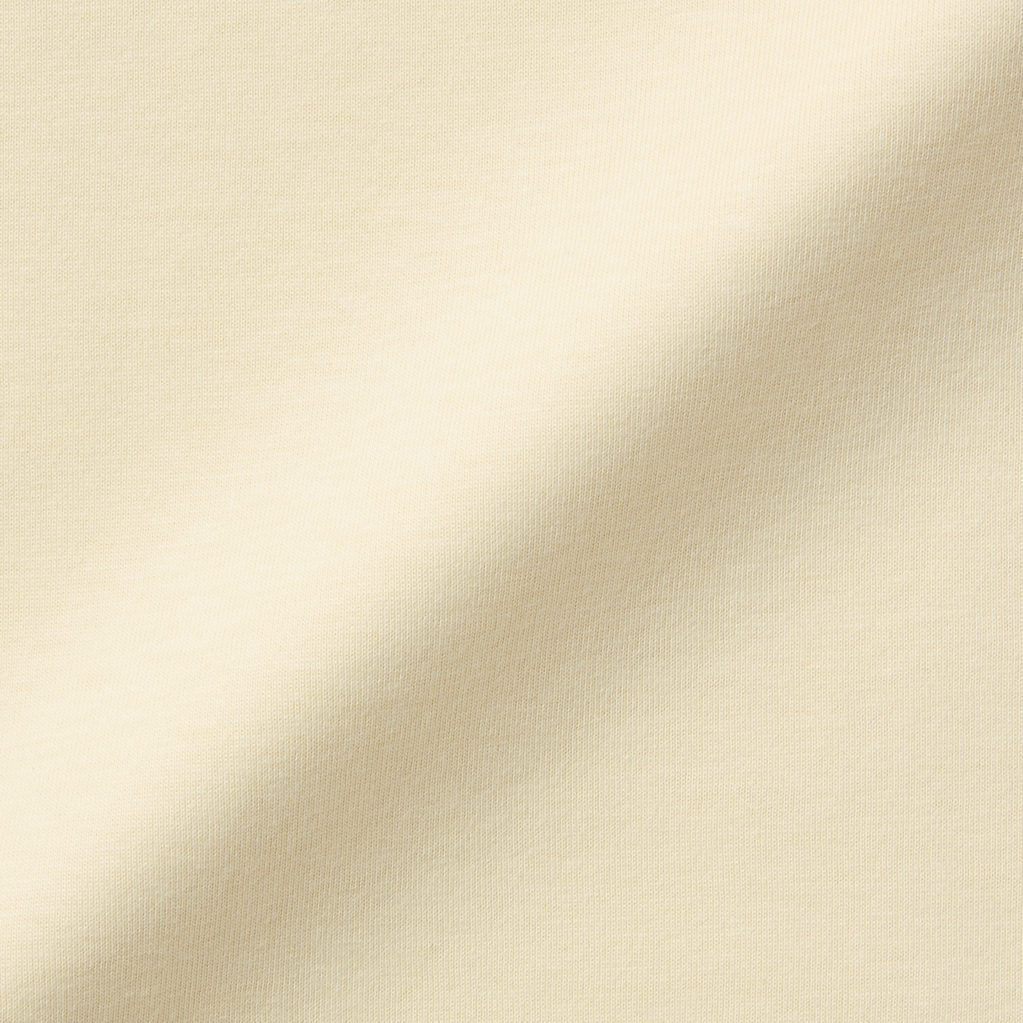 婦人　天竺編みクルーネック長袖Ｔシャツ