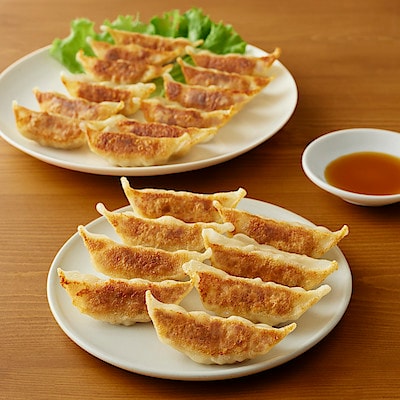 にんにく不使用　国産野菜と豚肉の餃子　２０個入り