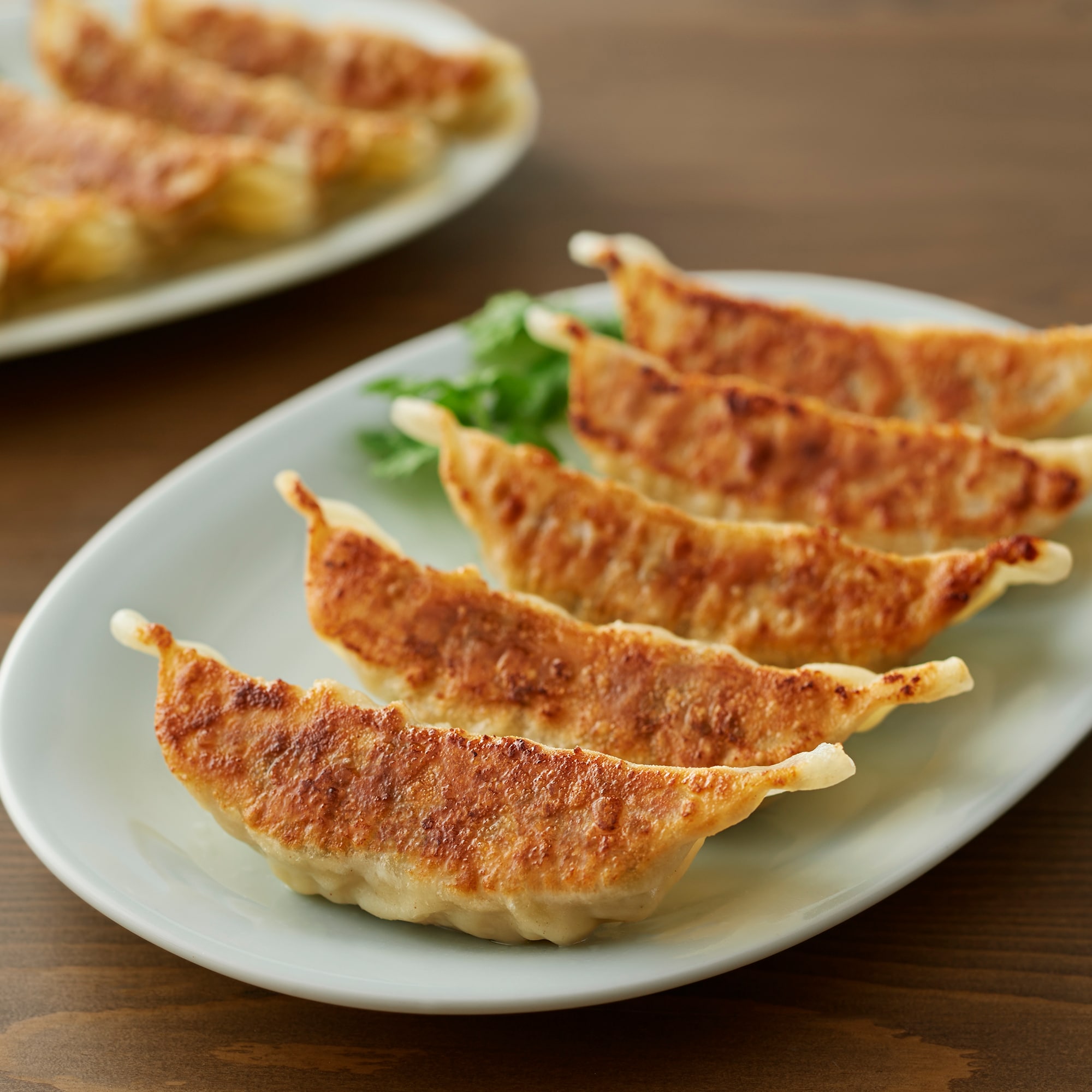 国産豚肉とニラの大きな餃子