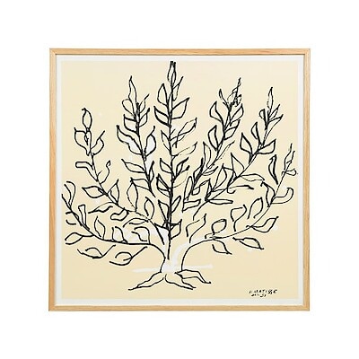 ［ＩＤＥＥ］アンリ・マティス　「低木」