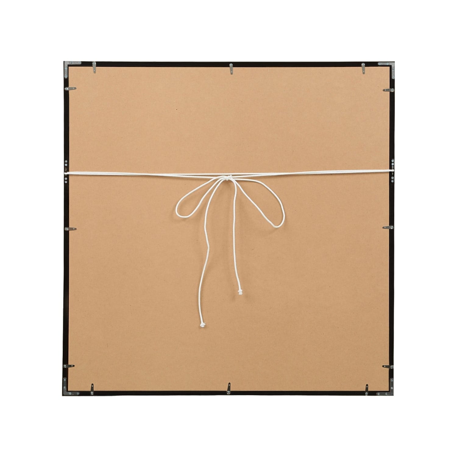 ［ＩＤＥＥ］アンリ・マティス　「低木」ブラックフレーム