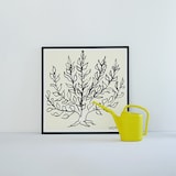 ［ＩＤＥＥ］アンリ・マティス　「低木」ブラックフレーム