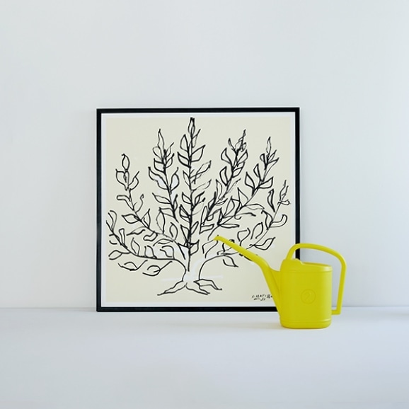 ［ＩＤＥＥ］アンリ・マティス　「低木」ブラックフレーム