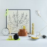 ［ＩＤＥＥ］アンリ・マティス　「低木」ブラックフレーム