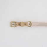 ［ＩＤＥＥ］ＭＩＬＯＵ　ｂｙ　ＩＤＥＥ　Ｃｏｌｌａｒ（首輪）　Ｌ　キュービック