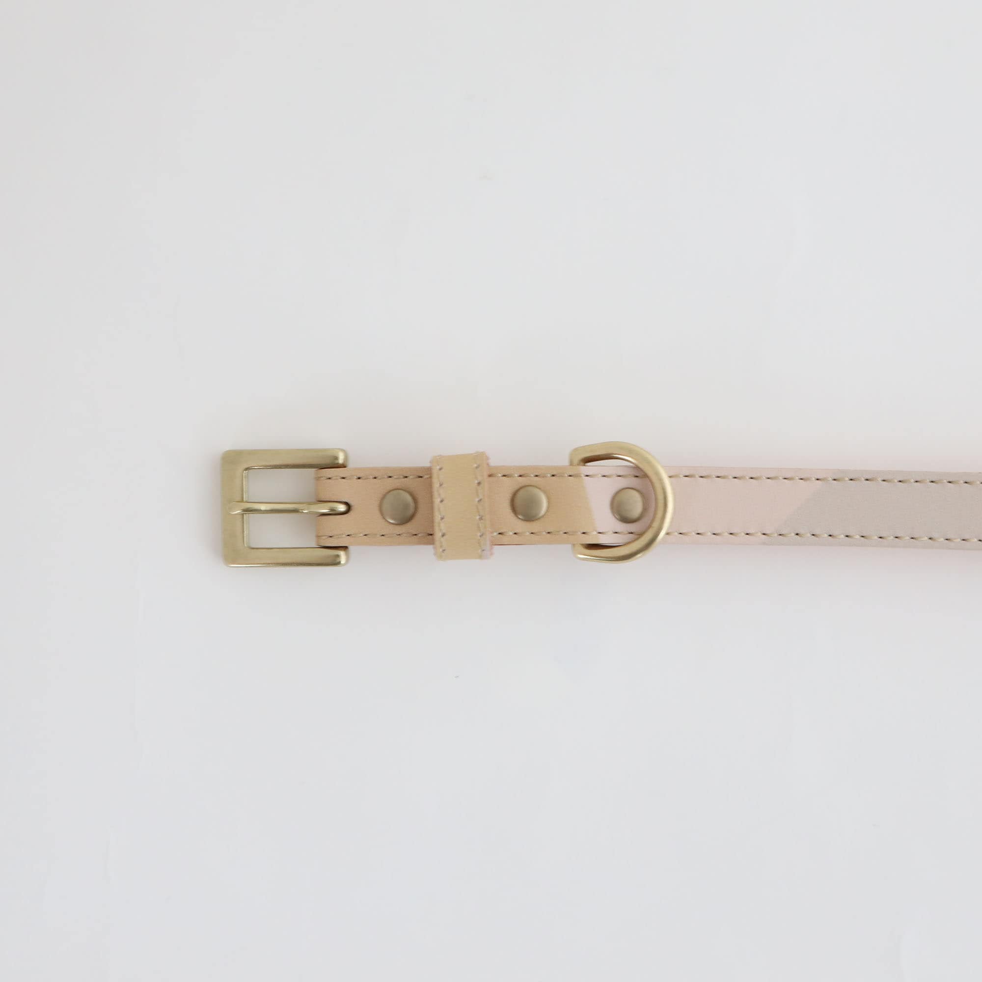 ［ＩＤＥＥ］ＭＩＬＯＵ　ｂｙ　ＩＤＥＥ　Ｃｏｌｌａｒ（首輪）　Ｌ　キュービック