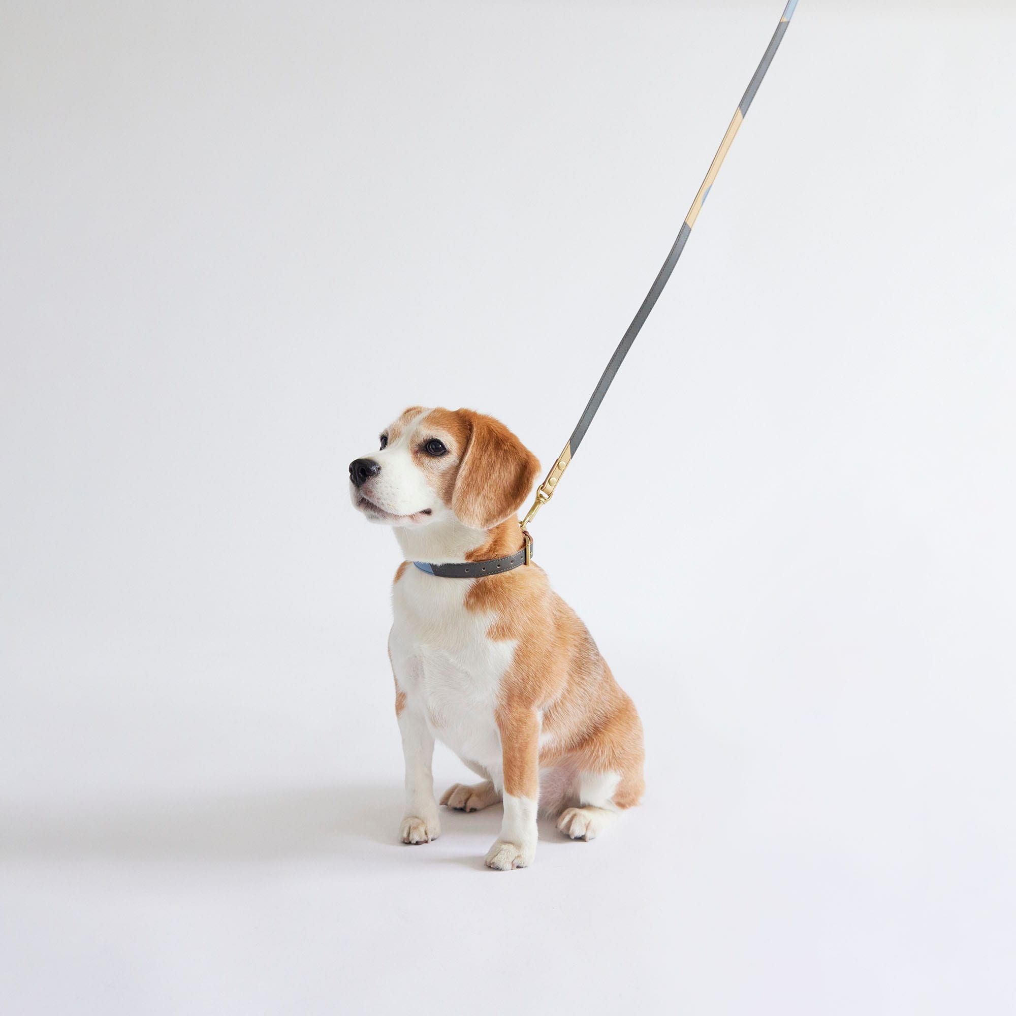 ［ＩＤＥＥ］ＭＩＬＯＵ　ｂｙ　ＩＤＥＥ　Ｃｏｌｌａｒ（首輪）　Ｌ　キュービック