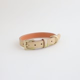 ［ＩＤＥＥ］ＭＩＬＯＵ　ｂｙ　ＩＤＥＥ　Ｃｏｌｌａｒ（首輪）　Ｌ　カモミール