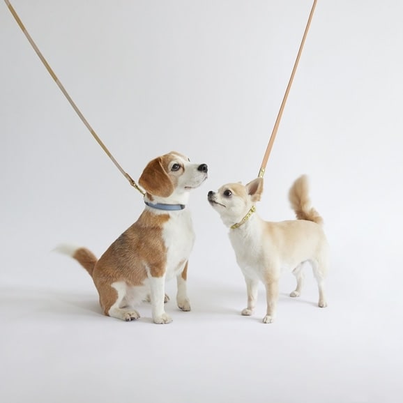 ［ＩＤＥＥ］ＭＩＬＯＵ　ｂｙ　ＩＤＥＥ　Ｌｅａｄ（リード）　キュービック