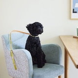 ［ＩＤＥＥ］ＭＩＬＯＵ　ｂｙ　ＩＤＥＥ　Ｌｅａｄ（リード）　キュービック