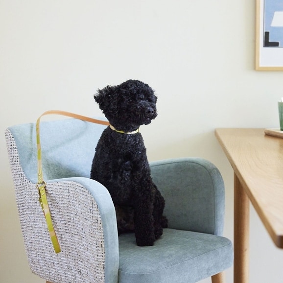 ［ＩＤＥＥ］ＭＩＬＯＵ　ｂｙ　ＩＤＥＥ　Ｌｅａｄ（リード）　キュービック