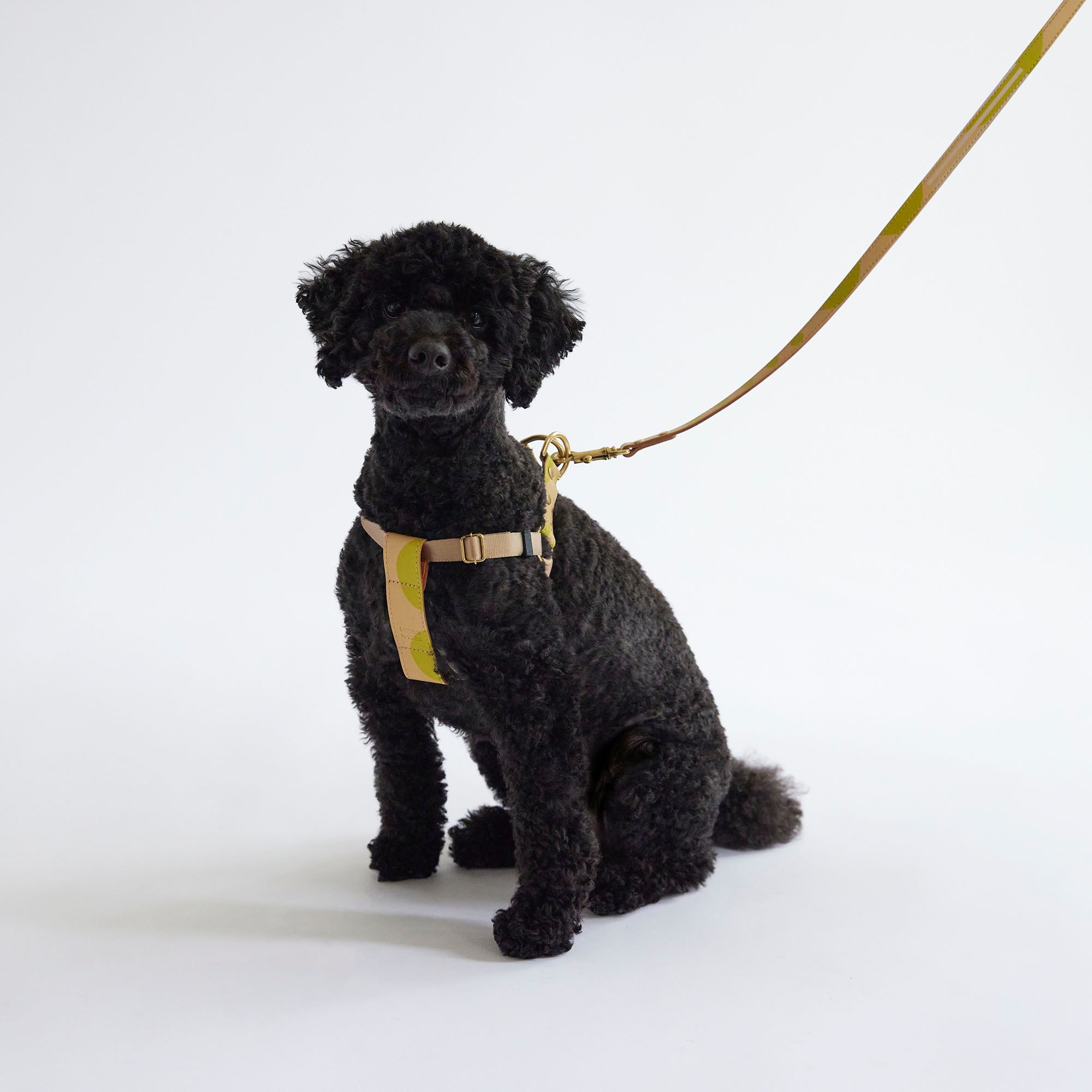 ［ＩＤＥＥ］ＭＩＬＯＵ　ｂｙ　ＩＤＥＥ　Ｈａｒｎｅｓｓハーネス　Ｍ　ハンティング