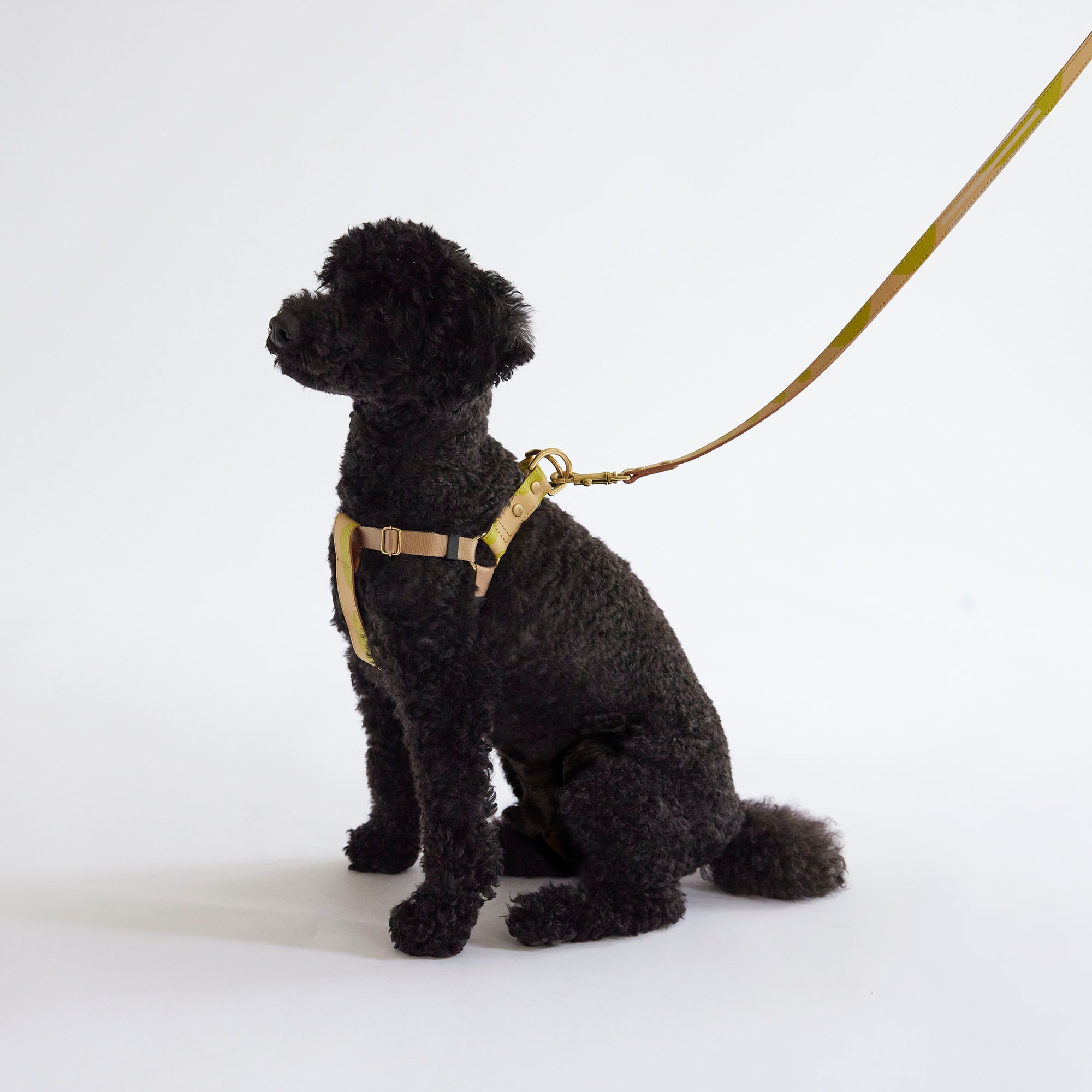 IDEE］MILOU by IDEE Harnessハーネス M