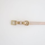 ［ＩＤＥＥ］ＭＩＬＯＵ　ｂｙ　ＩＤＥＥ　Ｃｏｌｌａｒ（首輪）　Ｓ　キュービック