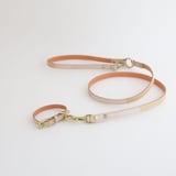 ［ＩＤＥＥ］ＭＩＬＯＵ　ｂｙ　ＩＤＥＥ　Ｃｏｌｌａｒ（首輪）　Ｓ　キュービック