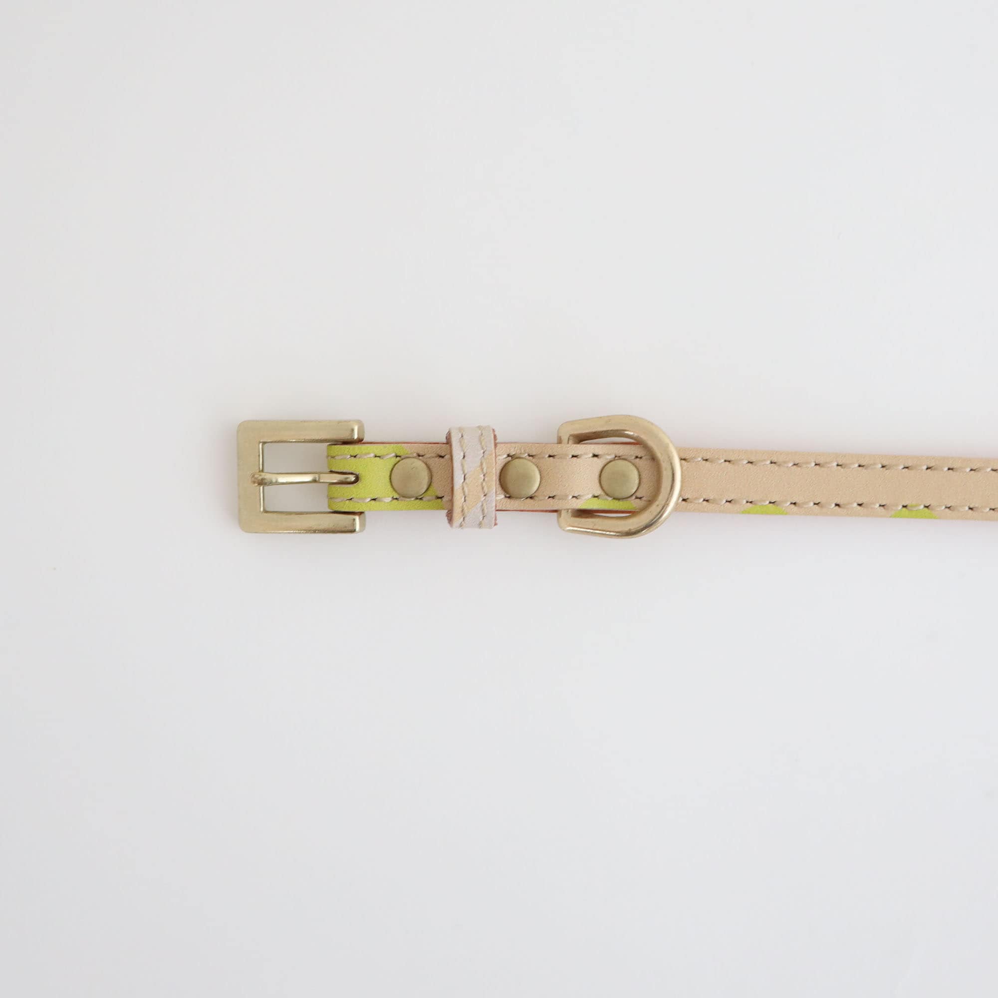 ［ＩＤＥＥ］ＭＩＬＯＵ　ｂｙ　ＩＤＥＥ　Ｃｏｌｌａｒ（首輪）　Ｓ　カモミール