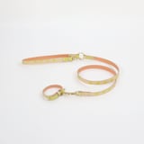 ［ＩＤＥＥ］ＭＩＬＯＵ　ｂｙ　ＩＤＥＥ　Ｃｏｌｌａｒ（首輪）　Ｓ　カモミール