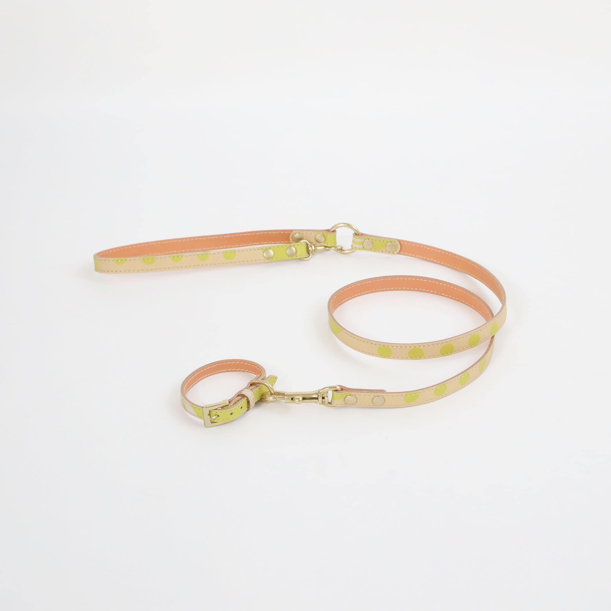 ［ＩＤＥＥ］ＭＩＬＯＵ　ｂｙ　ＩＤＥＥ　Ｃｏｌｌａｒ（首輪）　Ｓ　カモミール