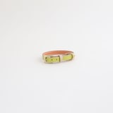 ［ＩＤＥＥ］ＭＩＬＯＵ　ｂｙ　ＩＤＥＥ　Ｃｏｌｌａｒ（首輪）　Ｓ　カモミール