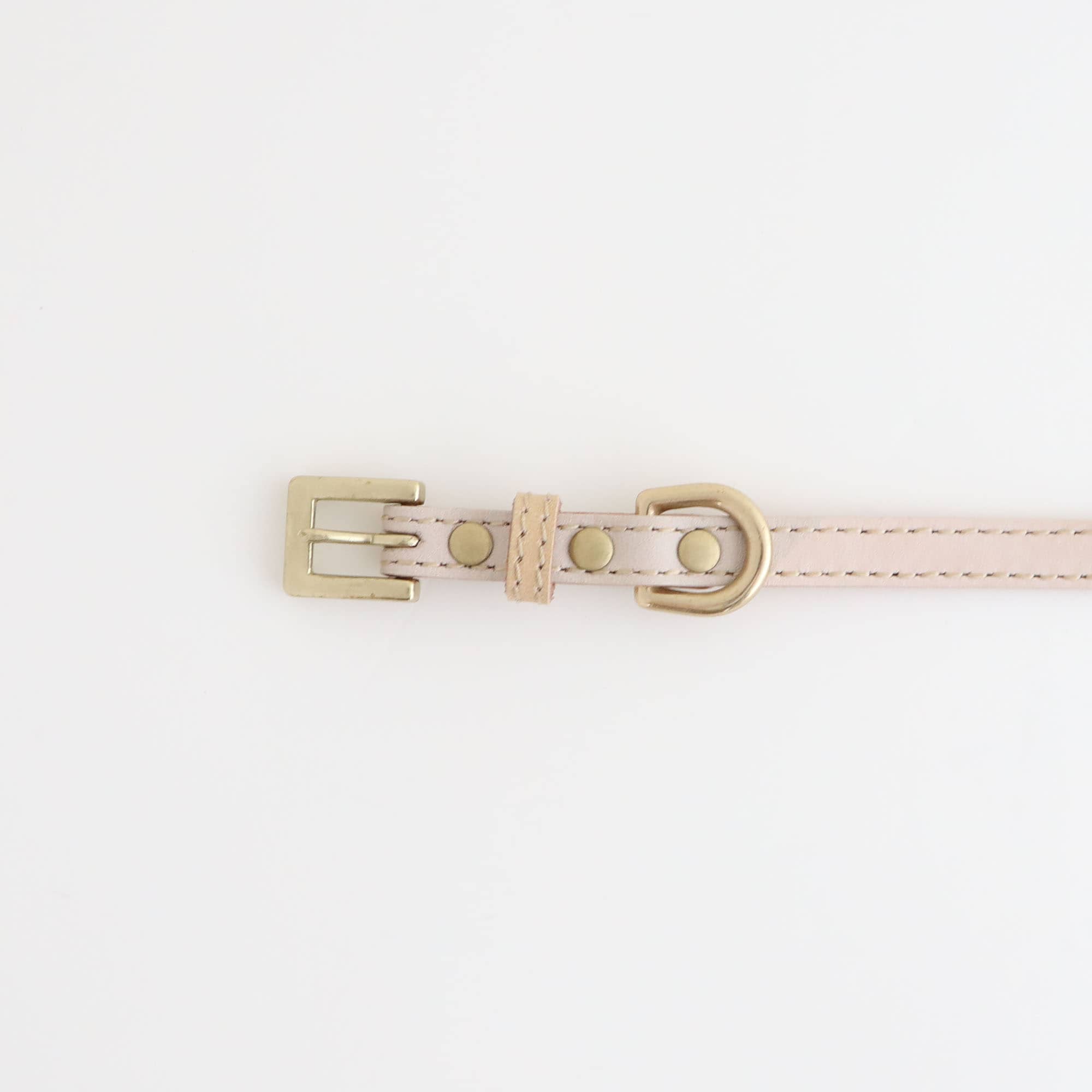 ［ＩＤＥＥ］ＭＩＬＯＵ　ｂｙ　ＩＤＥＥ　Ｃｏｌｌａｒ（首輪）　Ｍ　キュービック