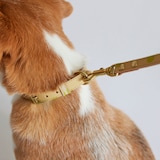［ＩＤＥＥ］ＭＩＬＯＵ　ｂｙ　ＩＤＥＥ　Ｃｏｌｌａｒ（首輪）　Ｍ　キュービック