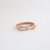 ［ＩＤＥＥ］ＭＩＬＯＵ　ｂｙ　ＩＤＥＥ　Ｃｏｌｌａｒ（首輪）　Ｍ　キュービック