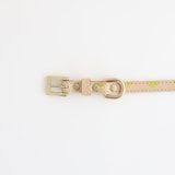 ［ＩＤＥＥ］ＭＩＬＯＵ　ｂｙ　ＩＤＥＥ　Ｃｏｌｌａｒ（首輪）　Ｍ　カモミール