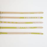 ［ＩＤＥＥ］ＭＩＬＯＵ　ｂｙ　ＩＤＥＥ　Ｃｏｌｌａｒ（首輪）　Ｍ　カモミール