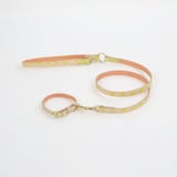 ［ＩＤＥＥ］ＭＩＬＯＵ　ｂｙ　ＩＤＥＥ　Ｃｏｌｌａｒ（首輪）　Ｍ　カモミール