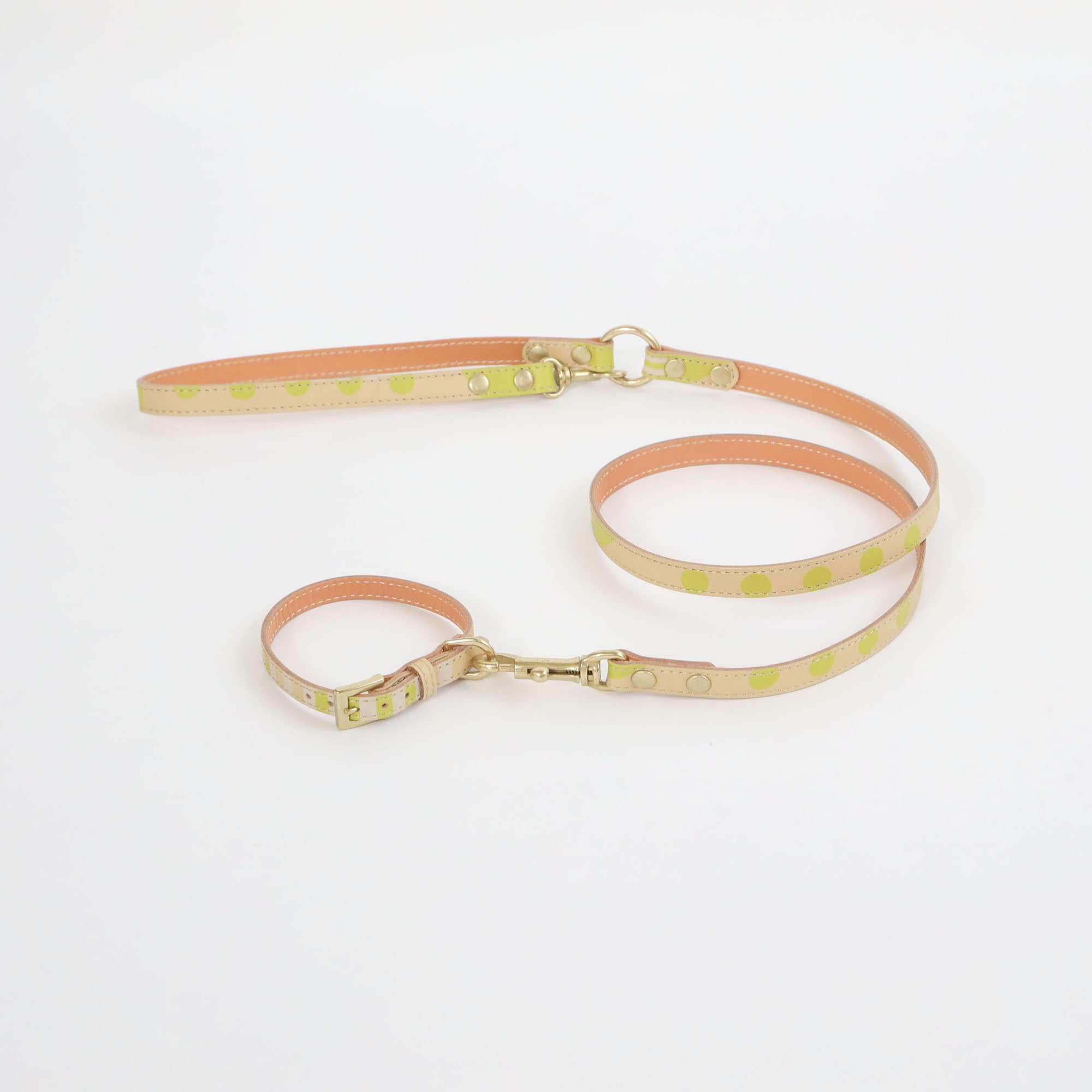 ［ＩＤＥＥ］ＭＩＬＯＵ　ｂｙ　ＩＤＥＥ　Ｃｏｌｌａｒ（首輪）　Ｍ　カモミール