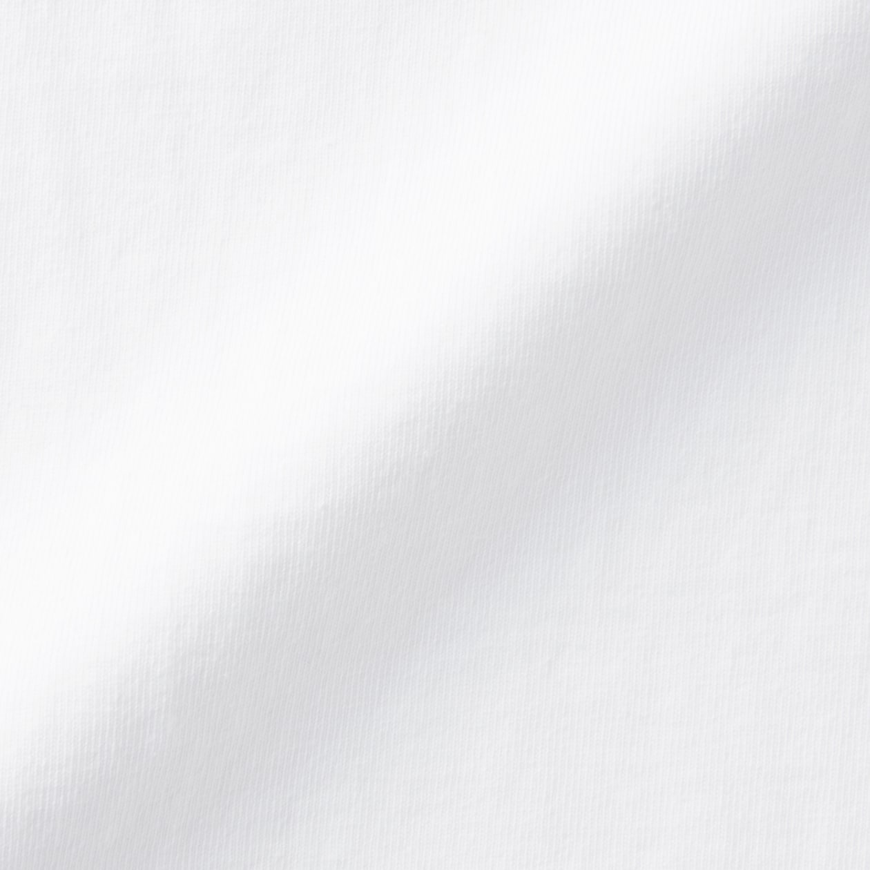 紳士　洗いざらし太番手クルーネック半袖Ｔシャツ