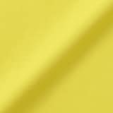 婦人　天竺編みクルーネック半袖Ｔシャツ