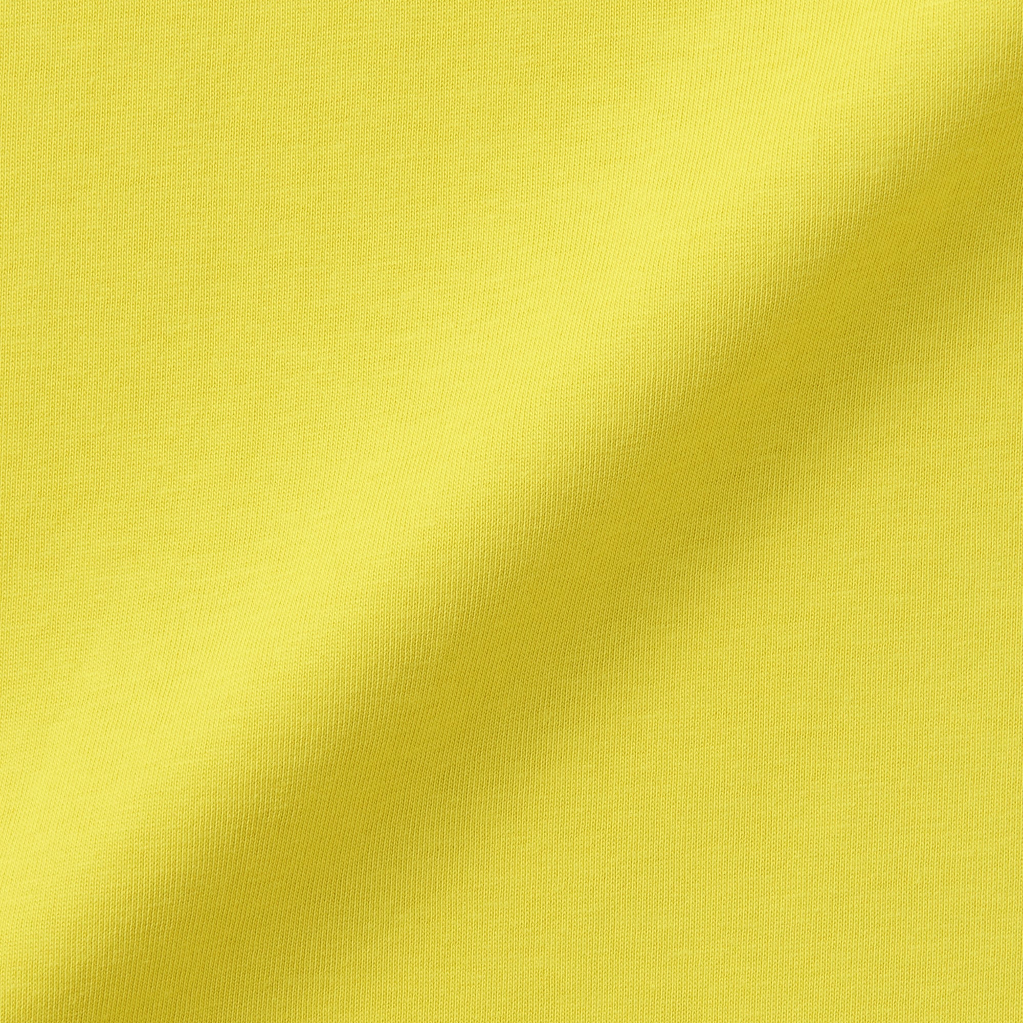 婦人　天竺編みクルーネック半袖Ｔシャツ