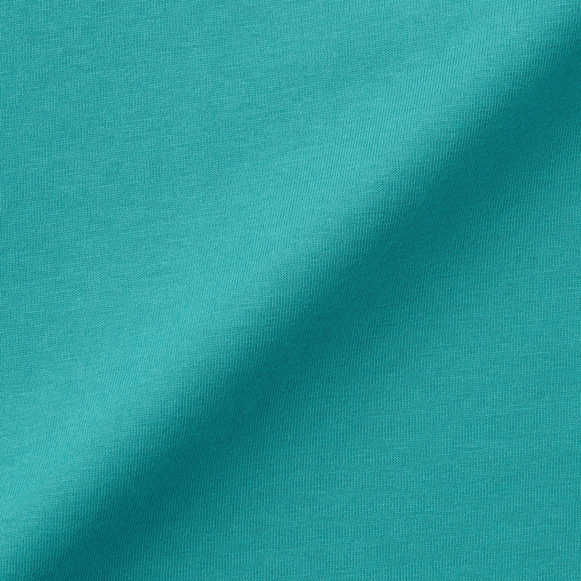 婦人　天竺編みクルーネック半袖Ｔシャツ