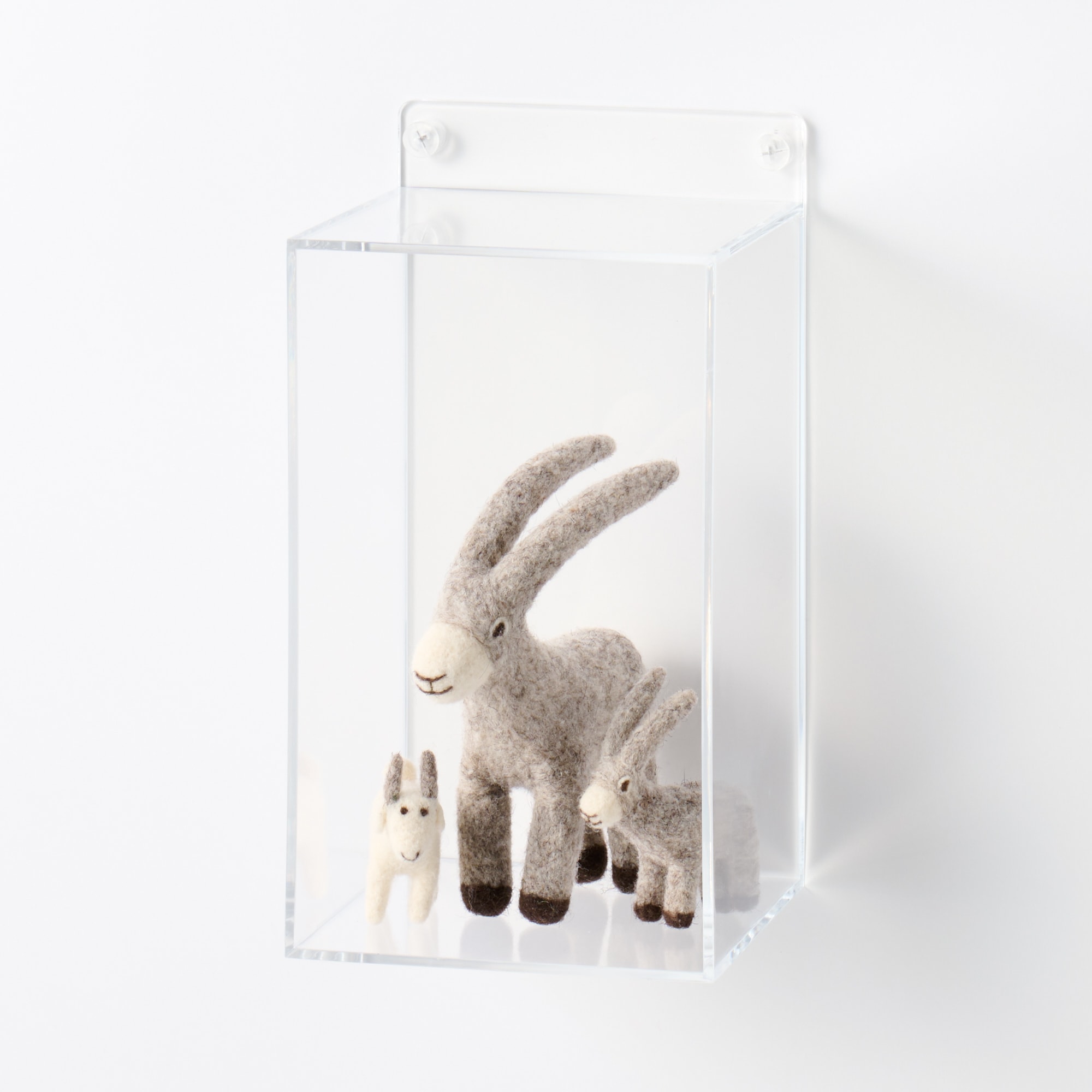 壁に付けられるアクリルディスプレイ　ボックス型