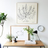 ［ＩＤＥＥ］アートポスター　Ｌｅ　ｐｅｔｉｔ　ｃｏｃｈｏｎ