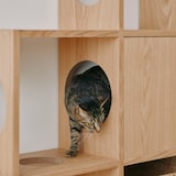 スタッキングシェルフ　猫用　３段×５列セット　オーク材突板