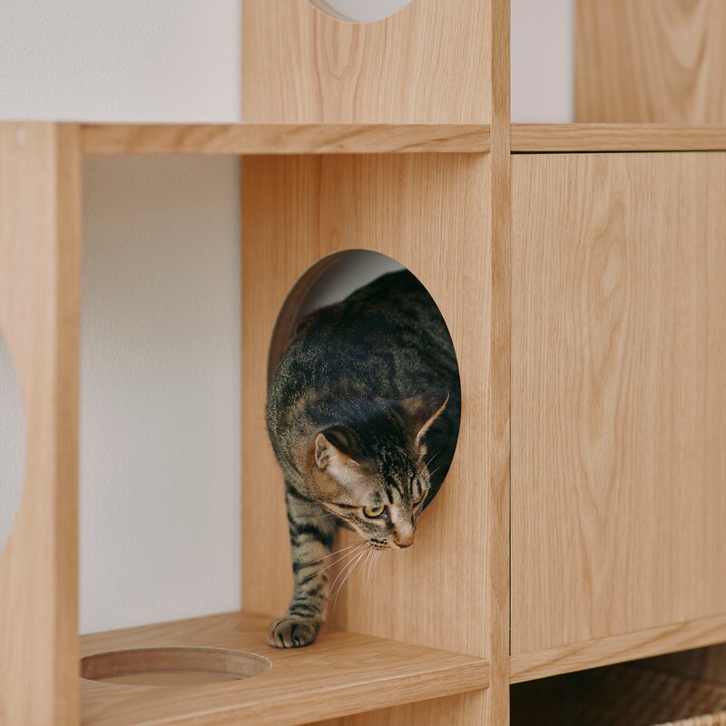 スタッキングシェルフ 猫用 3段×5列セット オーク材突板 | 無印良品