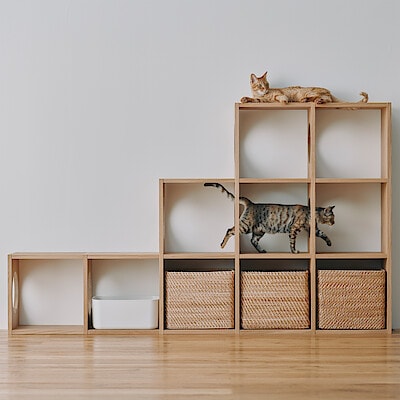 【猫用】スタッキングシェルフ　猫用　３段×５列セット　オーク材突板　