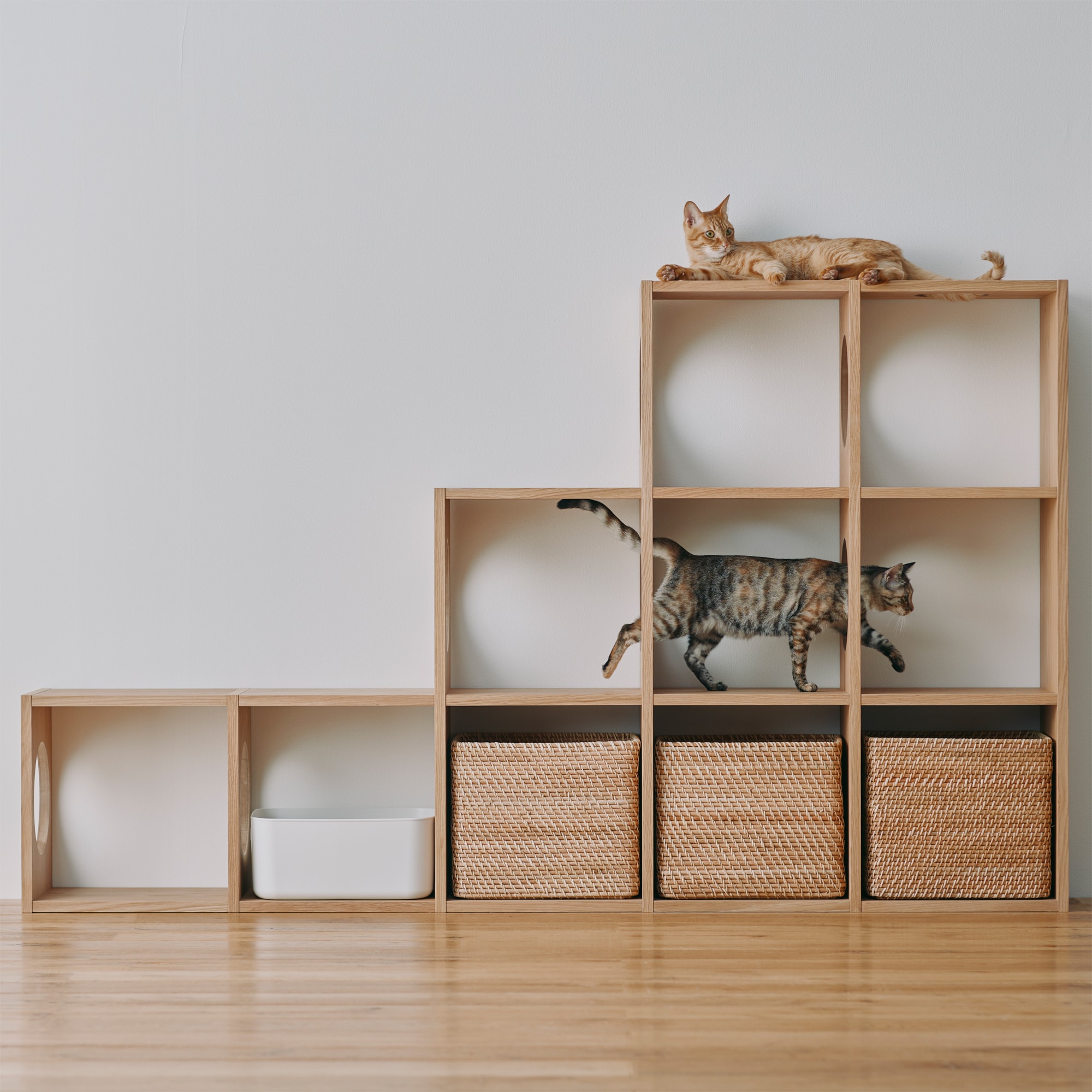 スタッキングシェルフ　猫用　３段×５列セット　オーク材突板