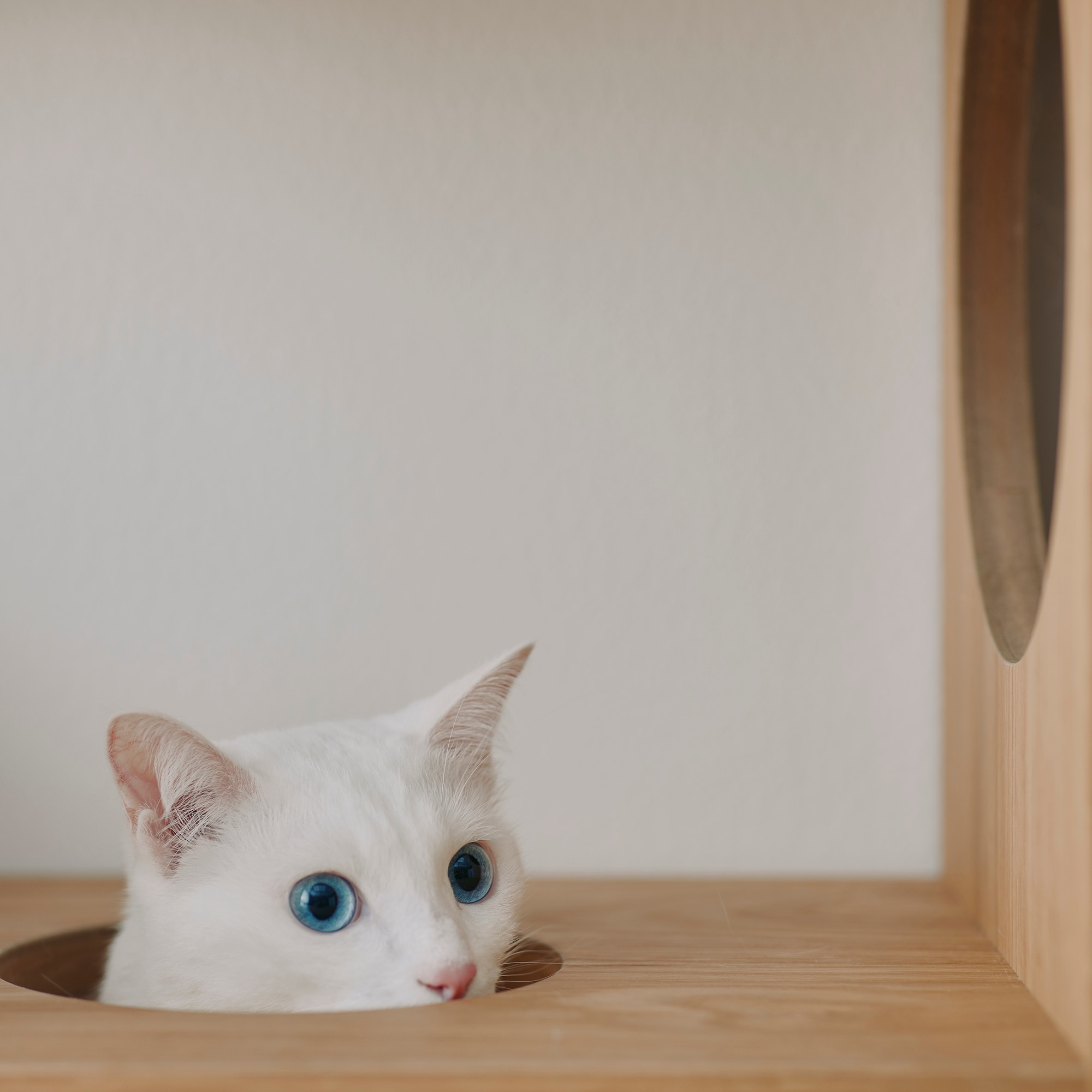 スタッキングシェルフ　猫用　３段×３列セット　オーク材突板