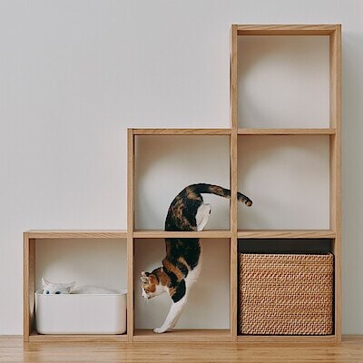 【猫用】スタッキングシェルフ　猫用　３段×３列セット　オーク材突板　