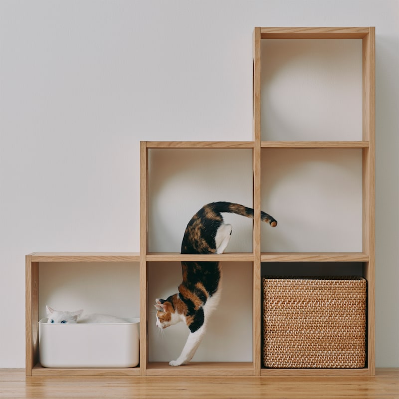 スタッキングシェルフ 猫用 3段×3列セット オーク材突板 | 無印良品