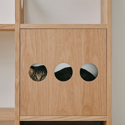 【猫用】スタッキングシェルフ　木製ボード　オープン　オーク材突板　