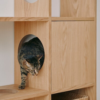 【猫用】スタッキングシェルフ　木製ボード　クローズ　オーク材突板　