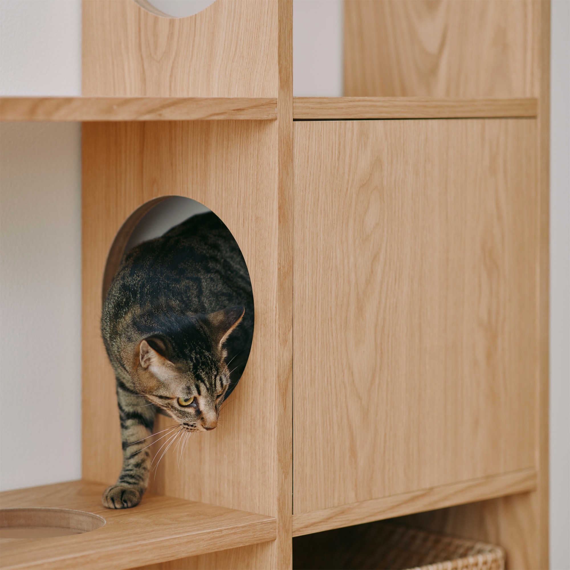 スタッキングシェルフ　木製ボード　クローズ　オーク材突板