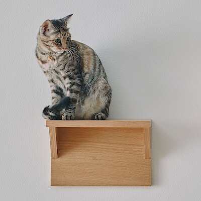 【猫用】壁に付けられる家具猫用ステップ　オーク材突板