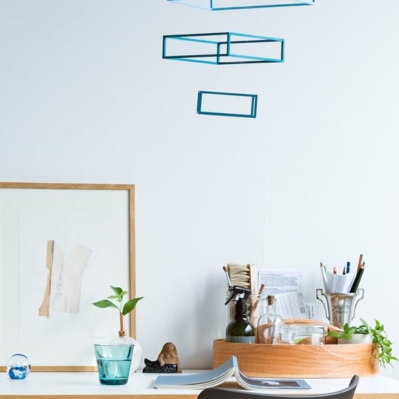 ［ＩＤＥＥ］ＳＨＡＫＥＲ　Ｄｅｖｉｄｅｄ　Ｃａｒｉｅｒ